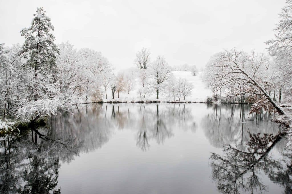Christmas Scene