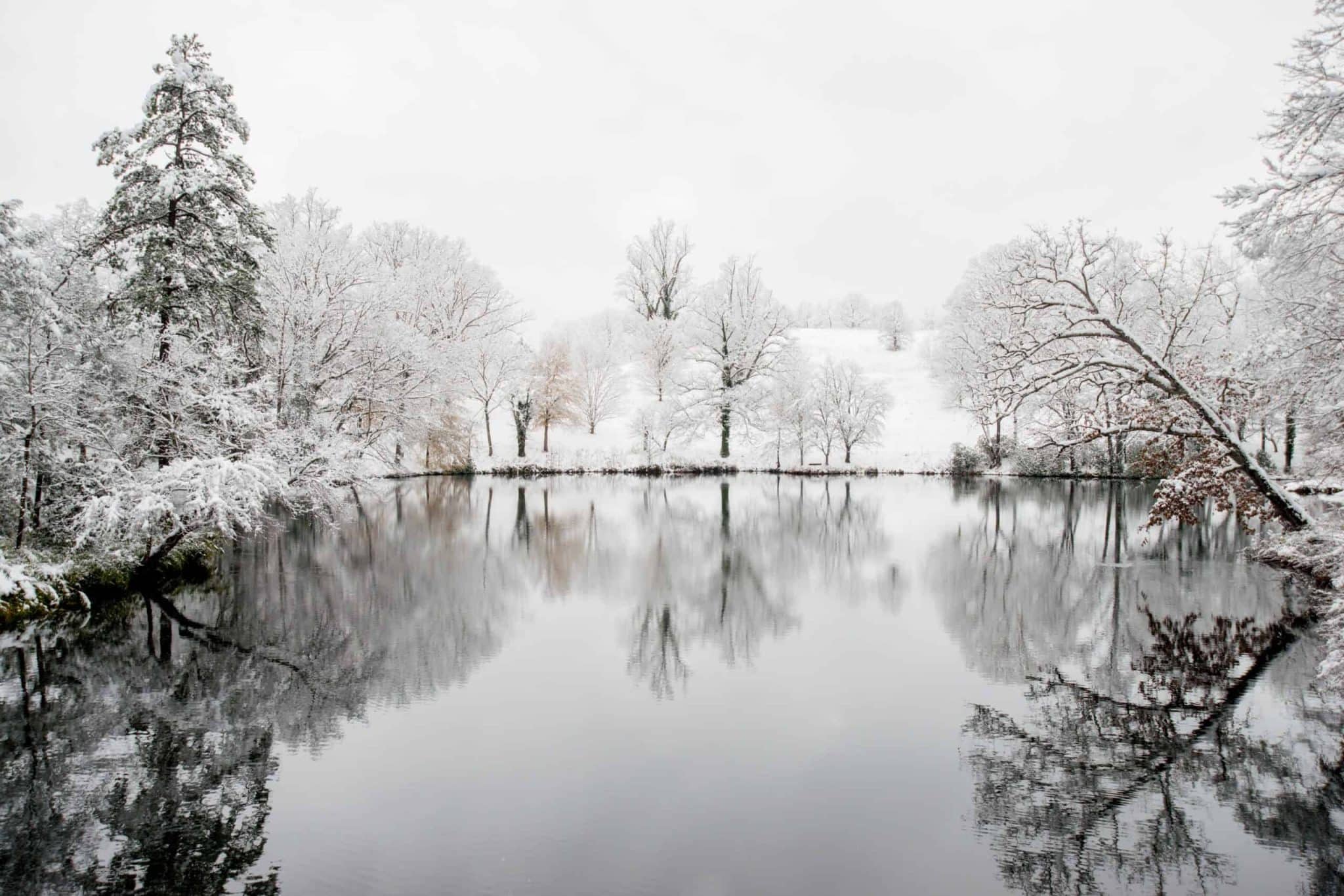 Christmas Scene