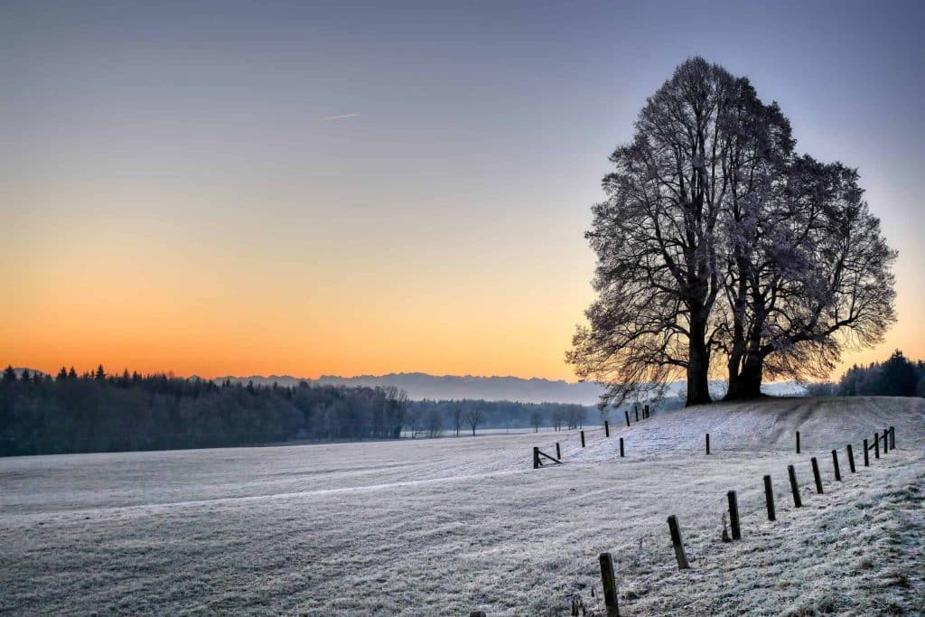 Winter Landscape With Snow