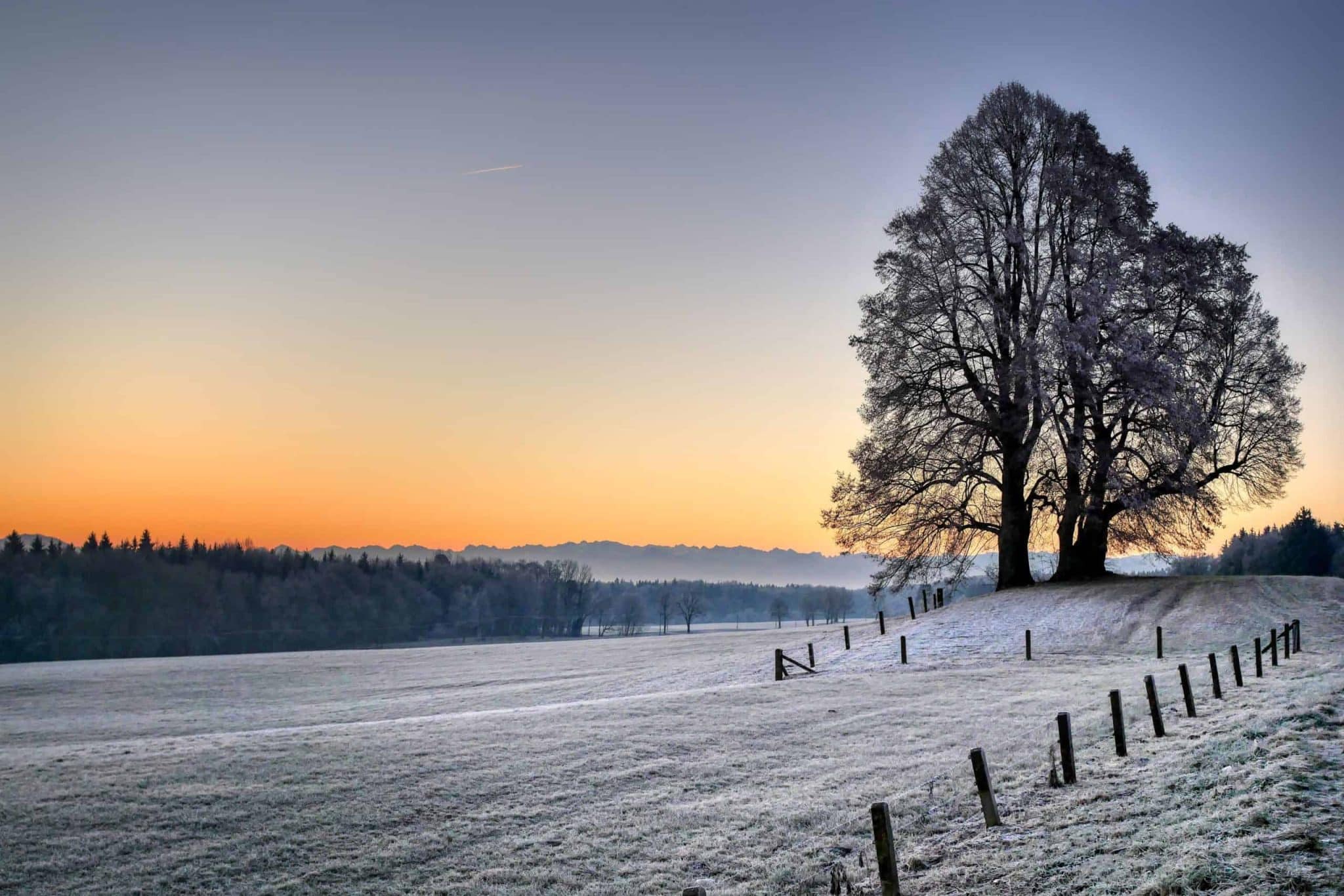Winter Landscape With Snow